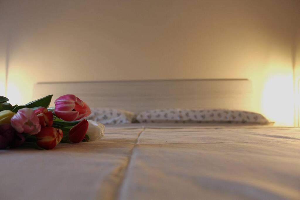 Venere Apartment Bergamo Eksteriør bilde